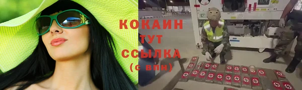 бошки Алексин