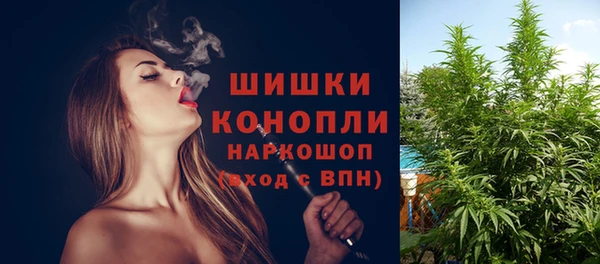 бошки Алексин