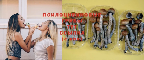 бошки Алексин