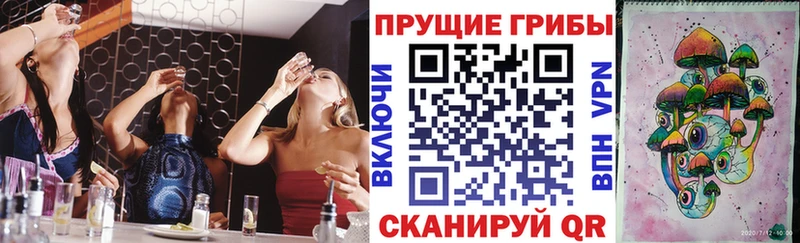магазин продажи Бавлы omg ссылки Псилоцибиновые грибы мицелий